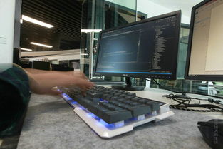 大數(shù)據(jù)的弄潮兒 計算機軟件開發(fā)的變革與機遇